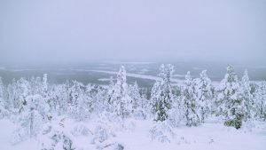 Lappi Travel Vlog & Quick Guide To Lappland, Finland by iHeartAlice.com - Travel, Lifestyle, Food & Fashionblog by Alice M. Huynh