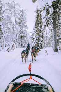 Husky Tours / Lappi Travel Vlog & Quick Guide To Lappland, Finland by iHeartAlice.com - Travel, Lifestyle, Food & Fashionblog by Alice M. Huynh