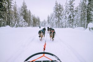 Lappi Travel Vlog & Quick Guide To Lappland, Finland by iHeartAlice.com - Travel, Lifestyle, Food & Fashionblog by Alice M. Huynh