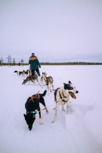 Lappi Travel Vlog & Quick Guide To Lappland, Finland by iHeartAlice.com - Travel, Lifestyle, Food & Fashionblog by Alice M. Huynh