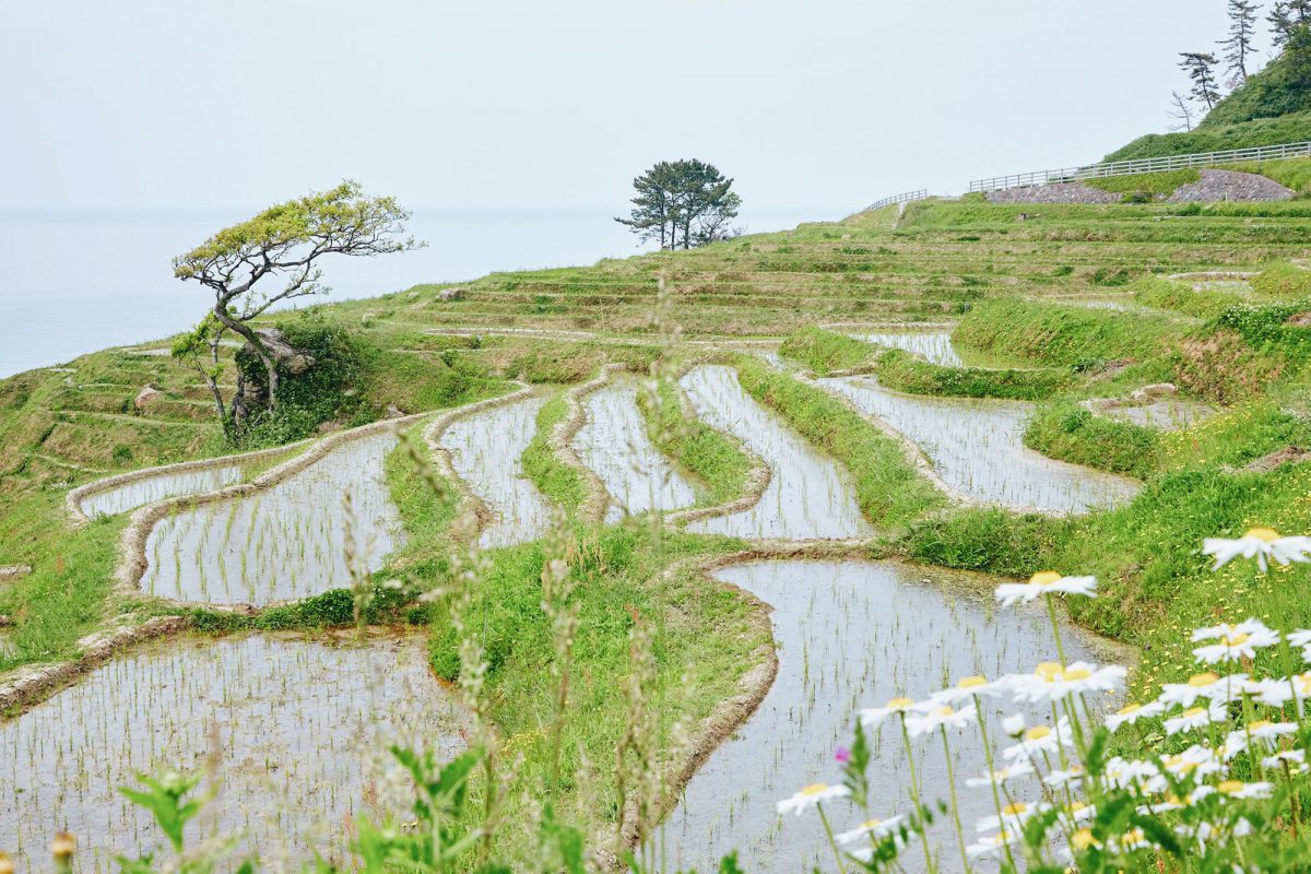 Hokuriku Shinetsu – Japans Wildeste Region / 2020 Travel Bucketlist | I ...