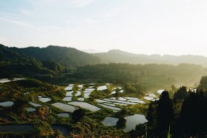 Hokuriku Shinetsu – Japans Wildeste Region / Von den Bergen bis zum Meer / Guide to Hokuriku Shinetsu Region (Japan) by Alice M. Huynh - Travel, Lifestyle & Foodblog / Bucketlist für 2020 Japan Reise!