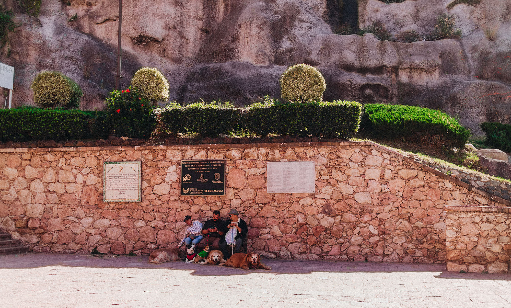 On The Streets Of... Guanajuato, México / A Quick Guide To San Miguel de Allende by Alice M. Huynh - iHeartAlice.com Travel, Fashion & Lifestyleblog / Mexico Travel Guide