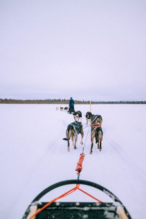 Lappi Travel Vlog & Quick Guide To Lappland, Finland by iHeartAlice.com - Travel, Lifestyle, Food & Fashionblog by Alice M. Huynh