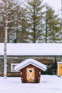 Reindeer ride w/ Levin Sammun-tupa Lappi / Quick Guide To Lappland, Finland by iHeartAlice.com - Travel, Lifestyle, Food & Fashionblog by Alice M. Huynh