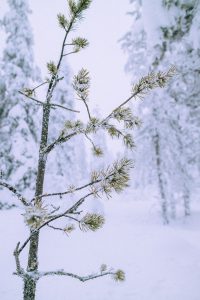 Lappi Travel Vlog & Quick Guide To Lappland, Finland by iHeartAlice.com - Travel, Lifestyle, Food & Fashionblog by Alice M. Huynh