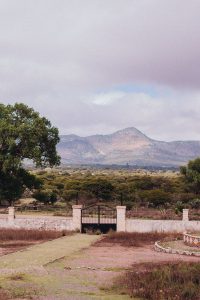 A Quick Guide To Guanajuato by Alice M. Huynh - iHeartAlice.com Travel, Fashion & Lifestyleblog / Mexico Travel Guide