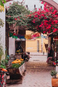 On The Streets Of... San Miguel de Allende - Pueblo Magico / A Quick Guide To Guanajuato by Alice M. Huynh - iHeartAlice.com Travel, Fashion & Lifestyleblog / Mexico Travel Guide