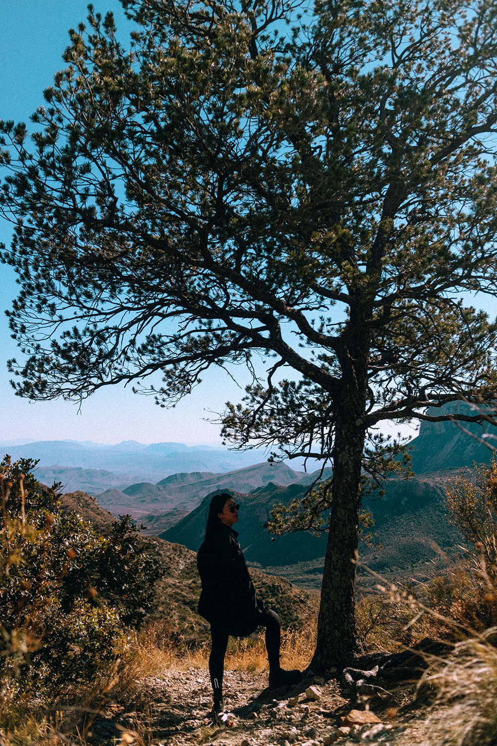 Inside Big Bend Nationalpark – Texas Travel Vlog / Travel Diary + Video by iHeartAlice.com - Lifestyle, Travel, Fashion & Foodblog by Alice M. Huynh / Texas Travel Guide