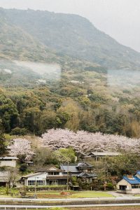 A Quick Travel & Food Guide To Beppu 別府 by iHeartAlice.com – Travel, Lifestyle, Fashion & Foodblog by Alice M. Huynh / Japan Travel Guide
