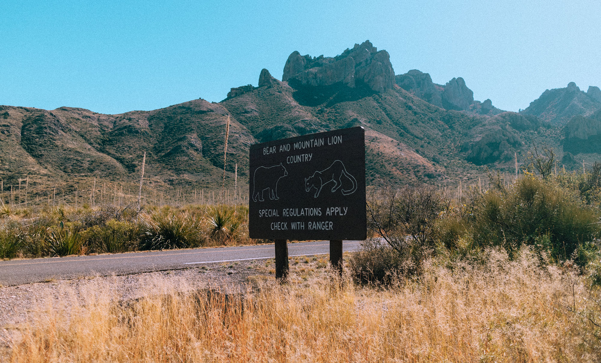 A Quick Guide To Big Bend Nationalpark – 8 Things To Do In & Around Big Bend / Texas Traveel Guide by iHeartAlice.com – Travel, Lifestyle, Food & Fashionblog by Alice M. Huynh / USA Roadtrip