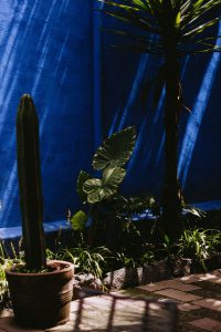 Must-See in CDMX: Museo Frida Kahlo, Mexico City / Travel Guide by Alice M. Huynh - iHeartAlice.com Travel, Fashion & Lifestyleblog