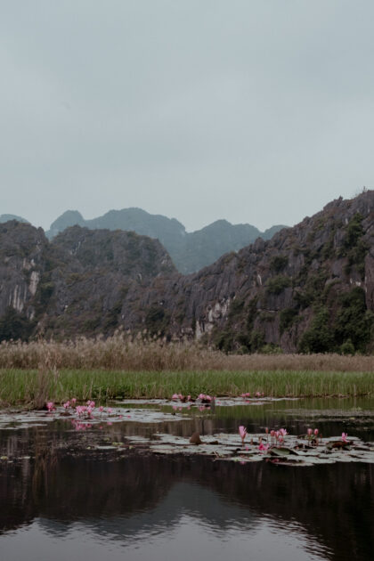 Đầm Vân Long Wetland Nature Reserve Boatride in Ninh Bình, Vietnam / Vietnam Travel Guide by iHeartAlice.com - Berlin cased Travel, Lifestyle & Foodblog by Alice M. Huynh