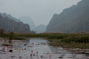 Đầm Vân Long Wetland Nature Reserve Boatride in Ninh Bình, Vietnam / Vietnam Travel Guide by iHeartAlice.com - Berlin cased Travel, Lifestyle & Foodblog by Alice M. Huynh