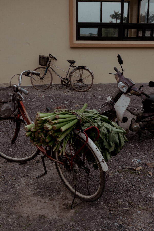 On The Streets Of... Ninh Bình, Vietnam / Travel to the northern region of Vietnam with Alice - Travel, Lifestyle & Food Blog / iHeartAlice.com