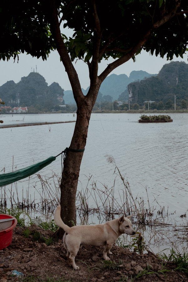 On The Streets Of... Ninh Bình, Vietnam / Travel to the northern region of Vietnam with Alice - Travel, Lifestyle & Food Blog / iHeartAlice.com