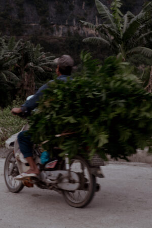 On The Streets Of... Ninh Bình, Vietnam / Travel to the northern region of Vietnam with Alice - Travel, Lifestyle & Food Blog / iHeartAlice.com