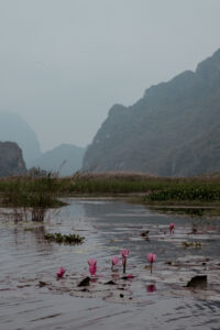 Đầm Vân Long Wetland Nature Reserve Boatride in Ninh Bình, Vietnam / Vietnam Travel Guide by iHeartAlice.com - Berlin cased Travel, Lifestyle & Foodblog by Alice M. Huynh