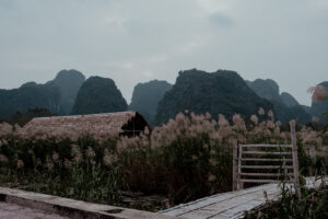 A Quick Travel Guide To Ninh Bình, Vietnam / Vietnam Travel Guide by iHeartAlice.com - Berlin cased Travel, Lifestyle & Foodblog by Alice M. Huynh